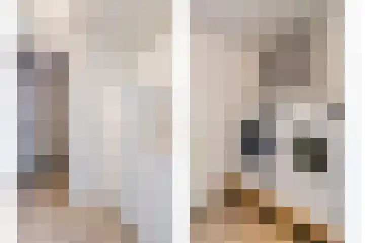De Kolk 20 Horst thumbnail 36