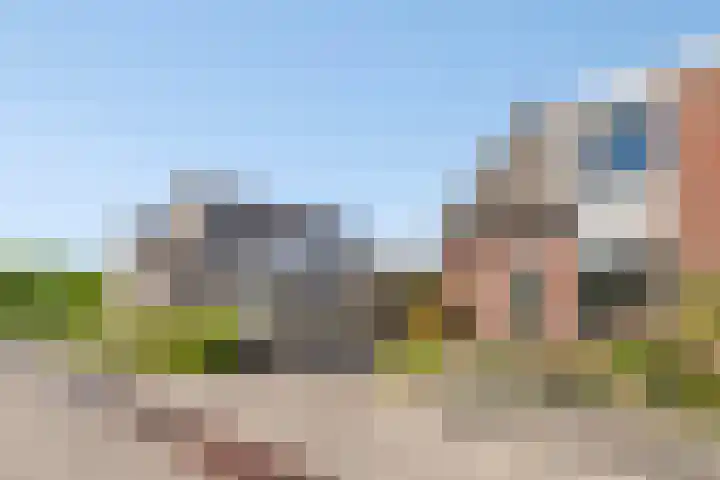 De Kolk 20 Horst thumbnail 7