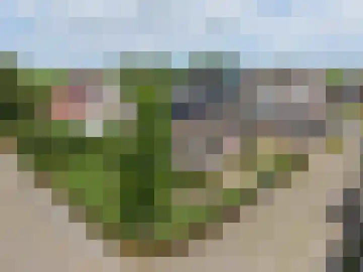 De Kolmar 1 Mantgum thumbnail 10