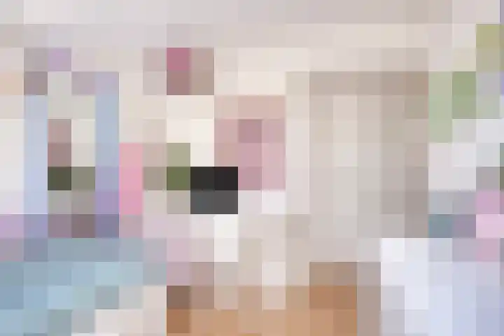 De Kolmar 1 Mantgum thumbnail 34