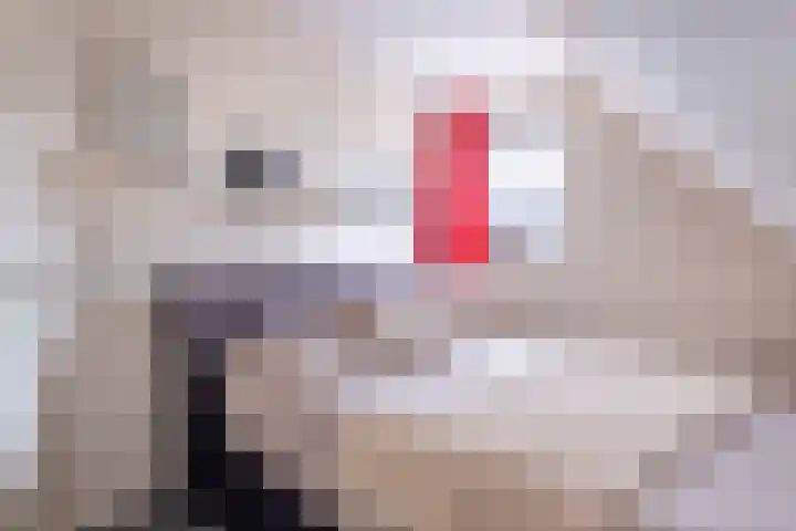 De Kolmar 1 Mantgum thumbnail 35