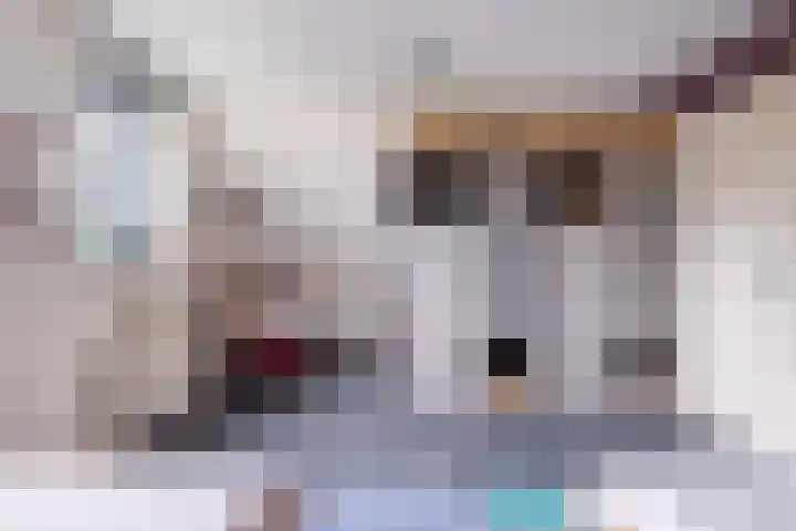 De Kolmar 1 Mantgum thumbnail 41