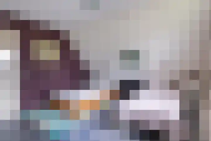 De Kolmar 1 Mantgum thumbnail 42