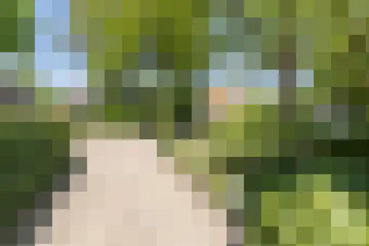 De Kolmar 1 Mantgum thumbnail 53