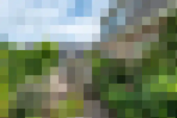 De Kolmar 1 Mantgum thumbnail 55