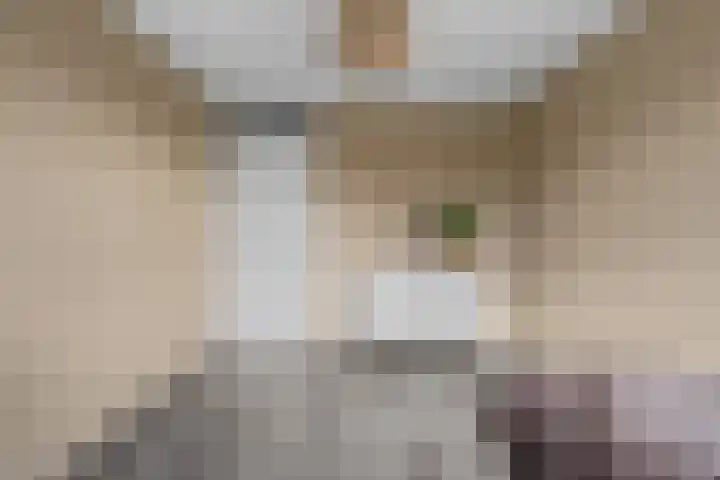 De Kolmar 1 Mantgum thumbnail 66