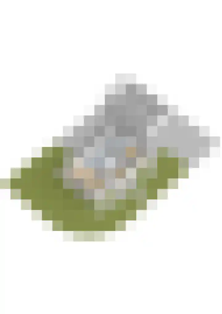 De Kolmar 1 Mantgum thumbnail 67