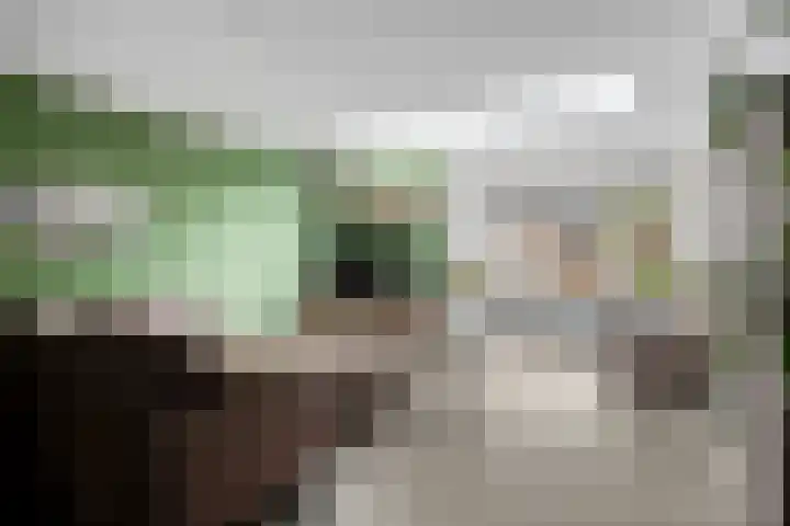 De Kolper 9 Megen thumbnail 15