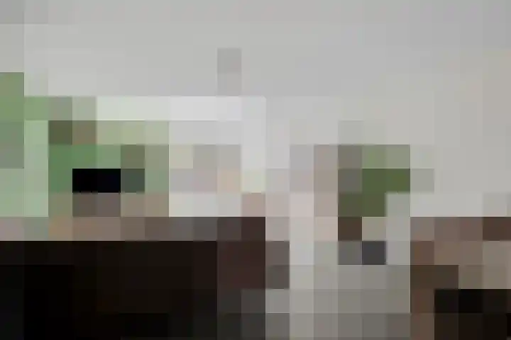 De Kolper 9 Megen thumbnail 16