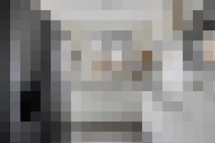 De Kolper 9 Megen thumbnail 4