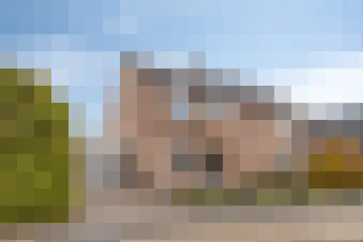 De Kongo 4 dans Drunen
