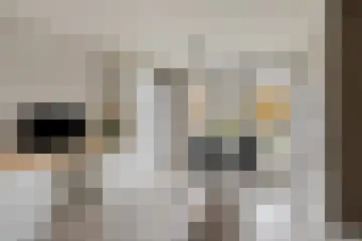 De Kongo 4 Drunen thumbnail 16