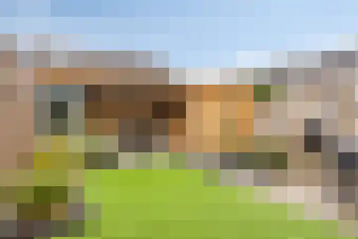 De Kongo 4 Drunen foto 2