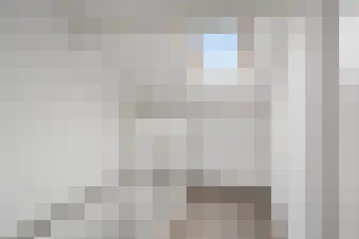 De Kongo 4 Drunen thumbnail 26