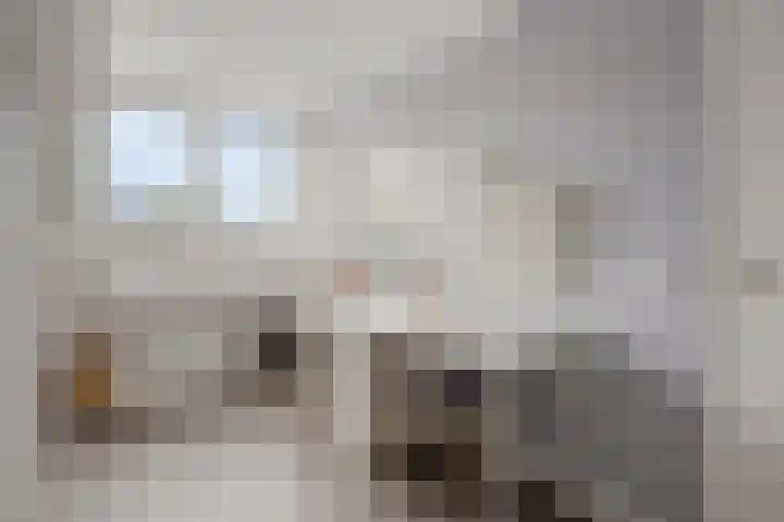 De Kongo 4 Drunen thumbnail 28