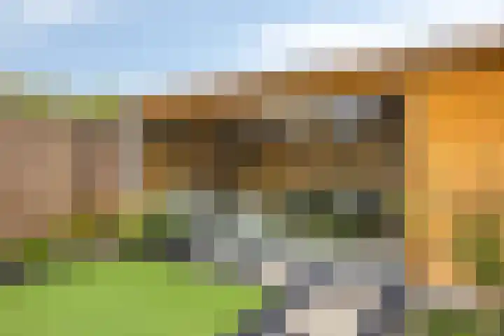 De Kongo 4 Drunen thumbnail 36
