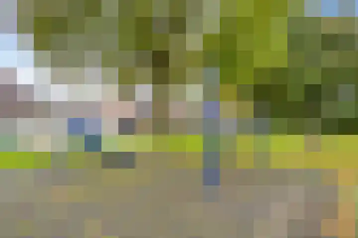 De Kongo 4 Drunen thumbnail 40