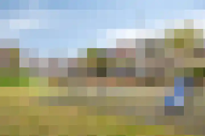 De Kongo 4 Drunen thumbnail 42