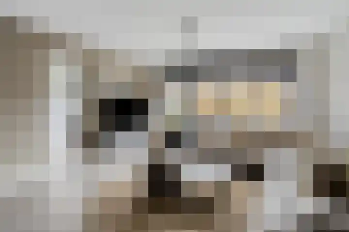 De Kongo 4 Drunen thumbnail 7