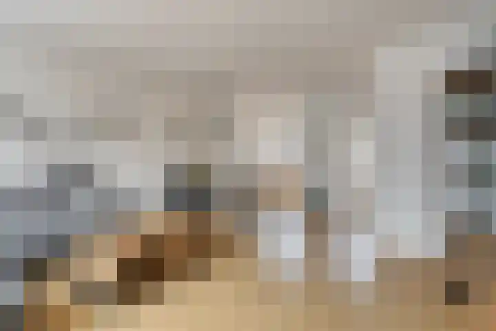 De Kongo 7 Drunen thumbnail 10