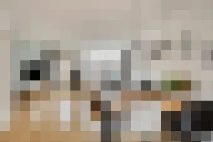 De Kongo 7 Drunen thumbnail 11