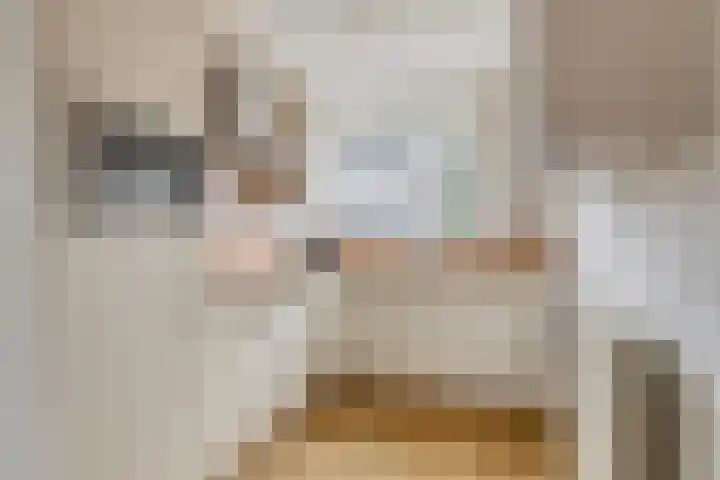 De Kongo 7 Drunen thumbnail 13