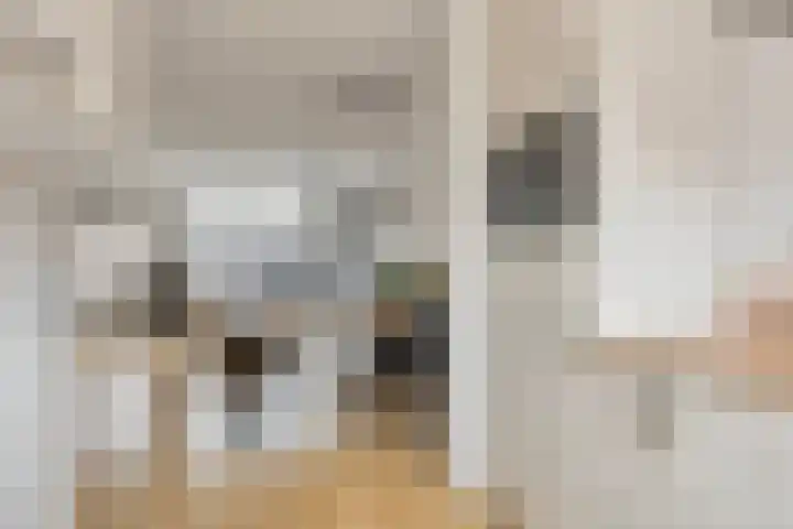 De Kongo 7 Drunen thumbnail 16