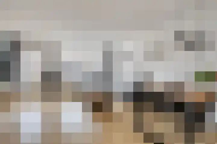De Kongo 7 Drunen foto 2
