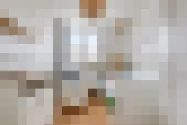 De Kongo 7 Drunen thumbnail 22