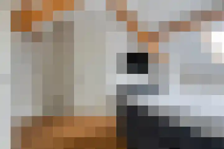 De Kongo 7 Drunen thumbnail 26