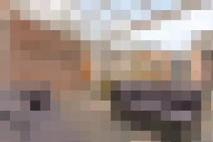 De Kongo 7 Drunen thumbnail 27