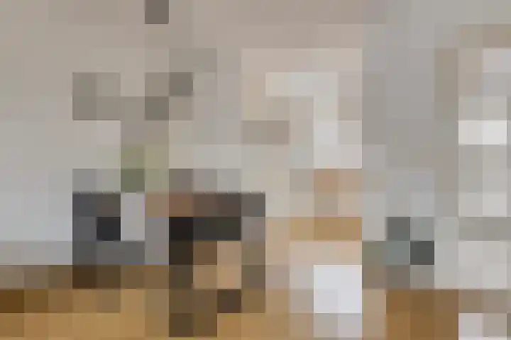 De Kongo 7 Drunen foto 3