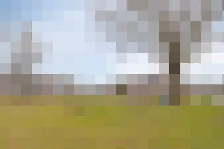 De Kongo 7 Drunen thumbnail 35
