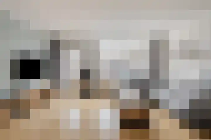 De Kongo 7 Drunen thumbnail 7