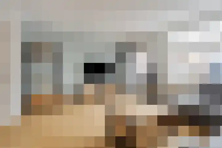 De Kongo 7 Drunen thumbnail 8