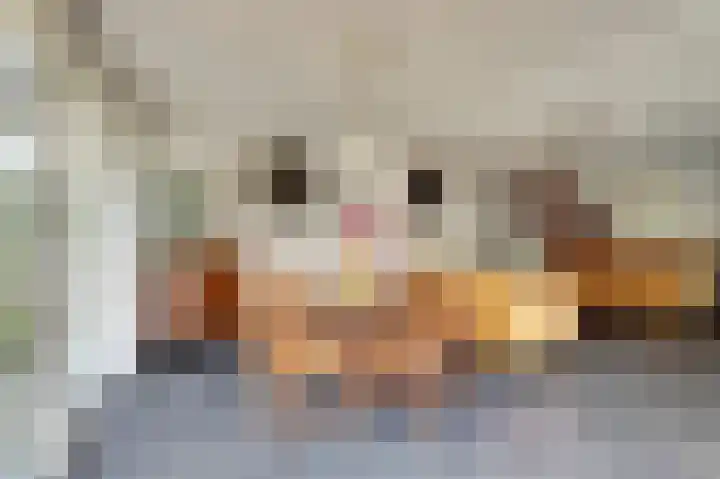 De Konick 12 Dronten thumbnail 10