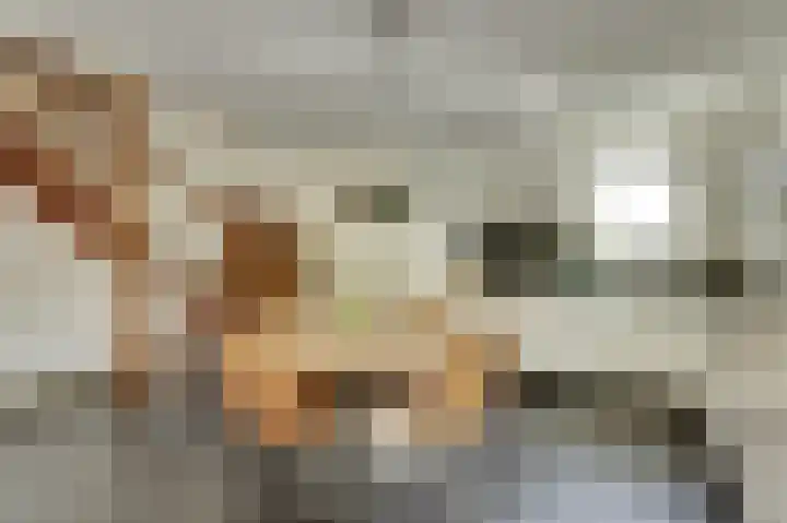 De Konick 12 Dronten thumbnail 11