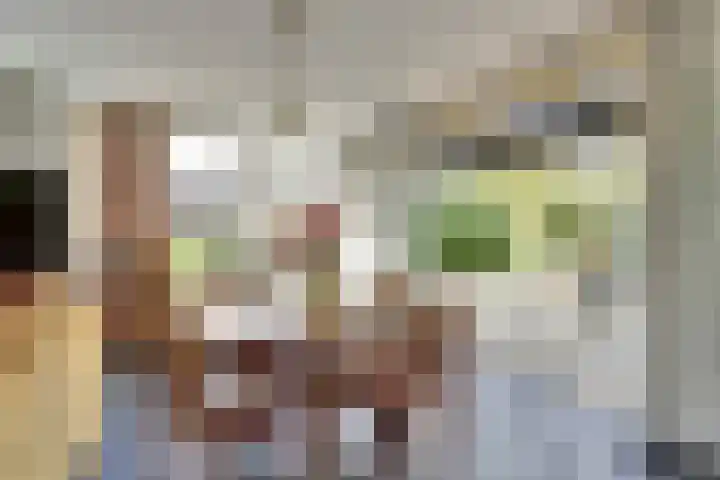 De Konick 12 Dronten thumbnail 13