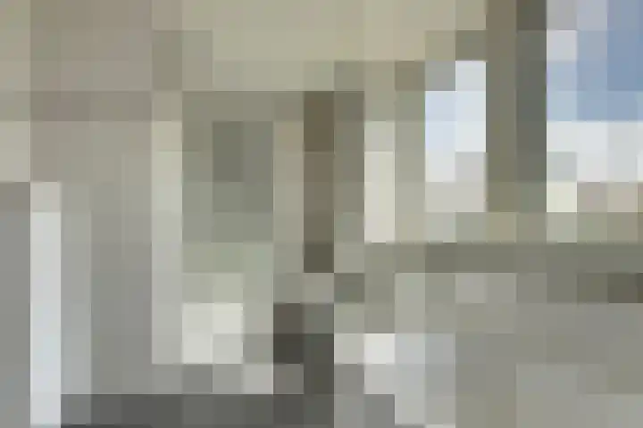 De Konick 12 Dronten thumbnail 20