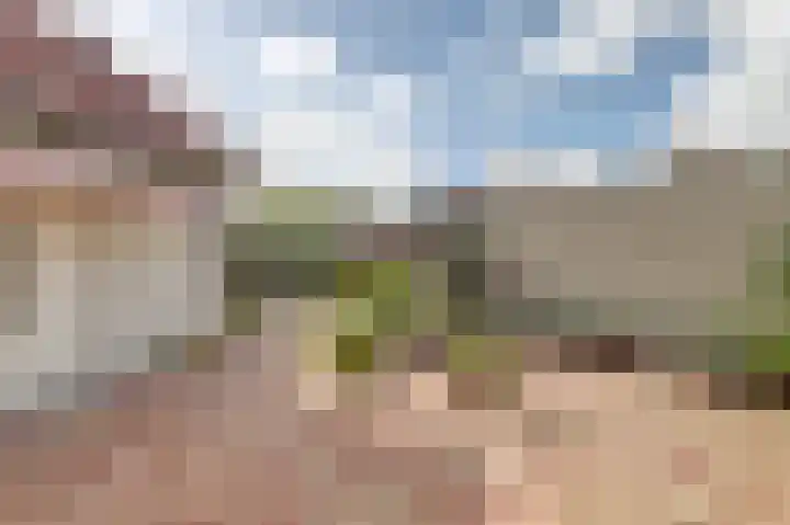 De Konick 12 Dronten thumbnail 23