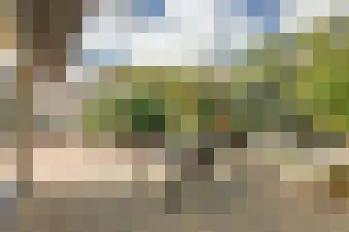 De Konick 12 Dronten thumbnail 25