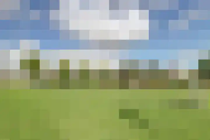 De Konick 12 Dronten thumbnail 29