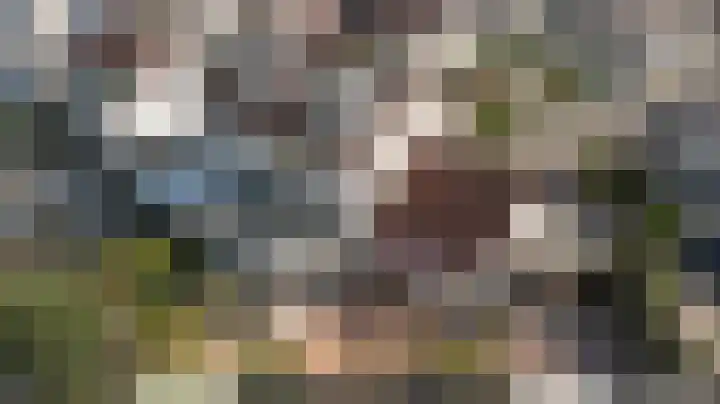 De Konick 12 Dronten thumbnail 30