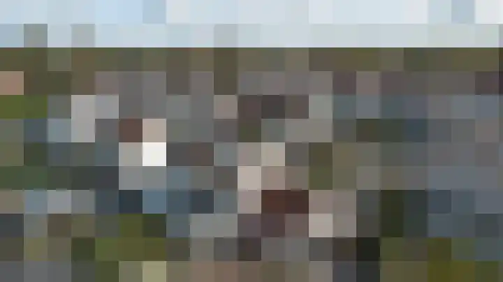 De Konick 12 Dronten thumbnail 31
