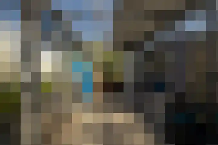 De Konick 12 Dronten thumbnail 33