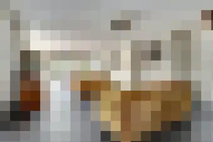 De Konick 12 Dronten thumbnail 5