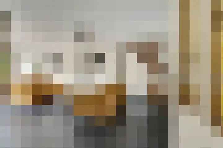 De Konick 12 Dronten thumbnail 6