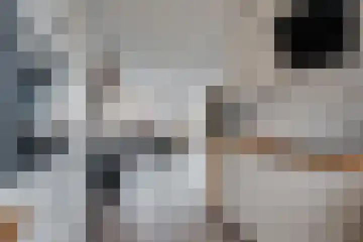 De Koningshof 5 Zwartsluis thumbnail 13