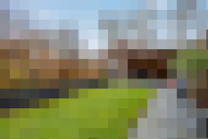 De Koningshof 5 Zwartsluis thumbnail 17