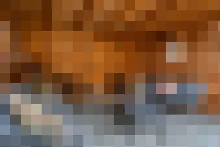 De Koningshof 5 Zwartsluis thumbnail 19
